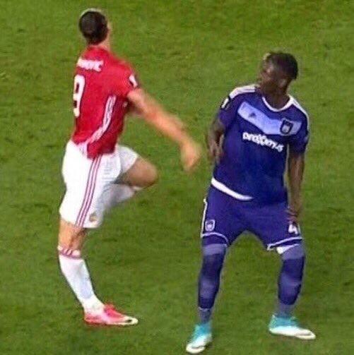 魔力鸟落泪,魔力鸟哭泣