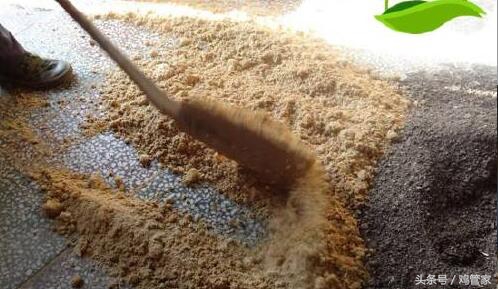 养鸡致富成功案例,养鸡喂猪发家致富