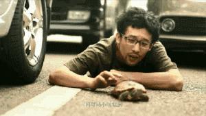 又堵车了粤语版,又堵车了儿歌