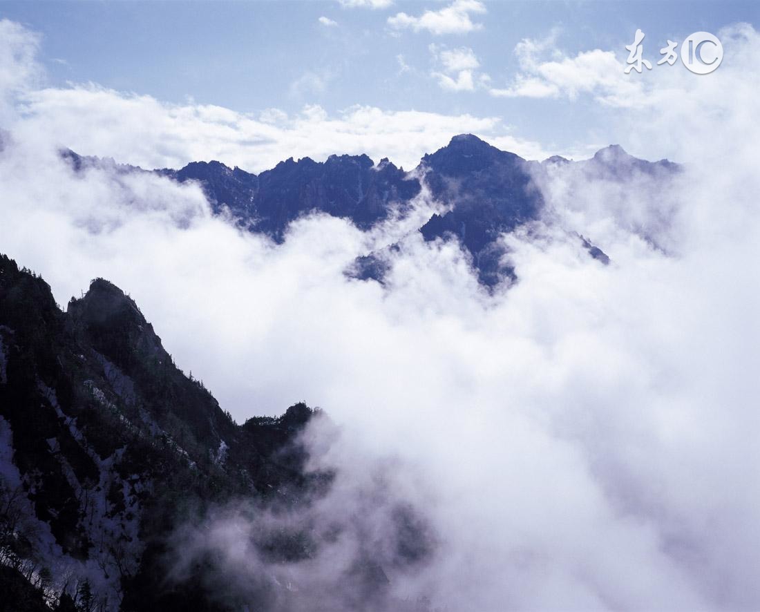 咨询心理学建立咨询关系视频,心理咨询的咨询关系