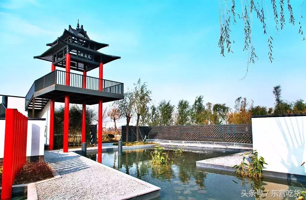 东营五一假期好去处,五一东营去哪里玩比较好