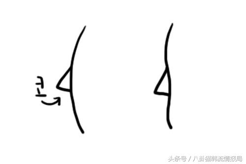 脸长嘴凸怎么办,鼻头大鼻翼宽怎么化妆改善