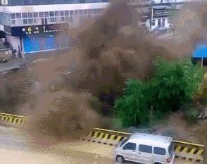 这图真好看英文,看着好爽