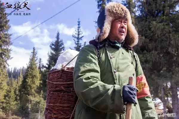 血狼犬狼犬大战,血狼犬打斗视频