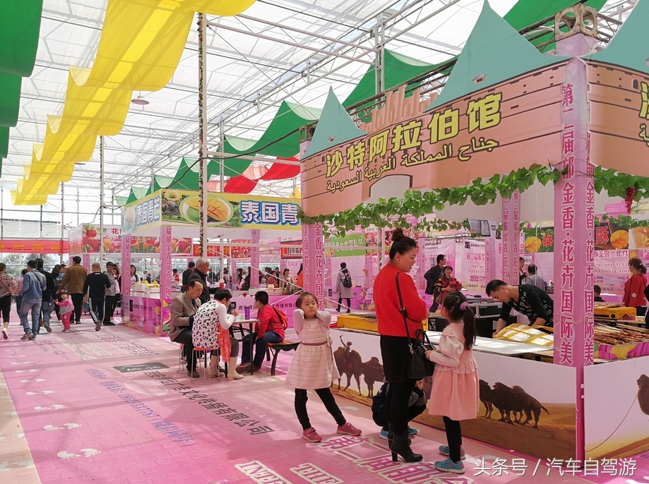 泾阳县城一日游,泾阳县一日游的绝佳去处