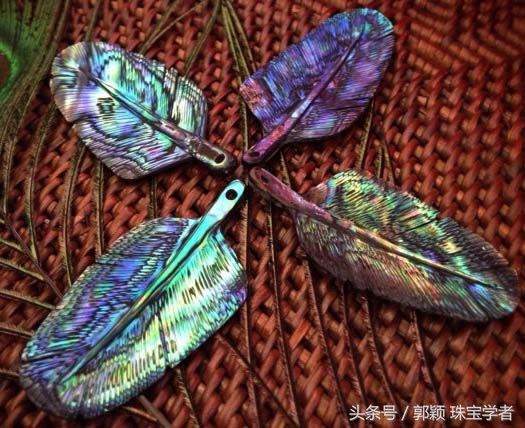 鲍鱼除了吃还代表什么,鲍鱼除了是食物还是什么东西