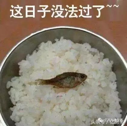 冰点房车,房车特价最新报价