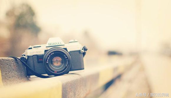 放下一切去旅行,放下一切去旅行完整版