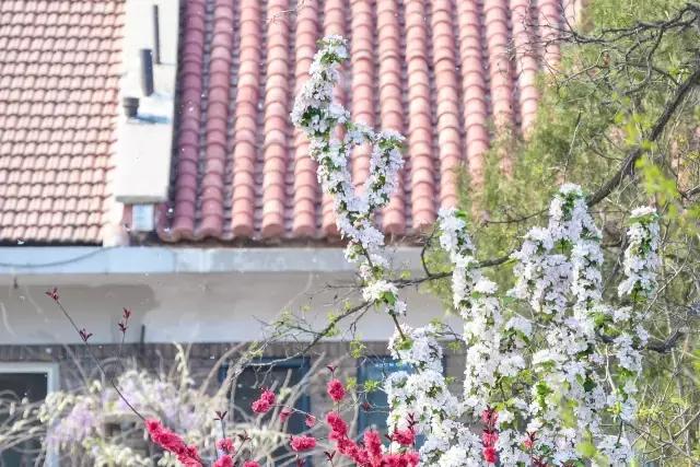 天津五大道百年建筑,天津五大道最美小洋楼欣赏