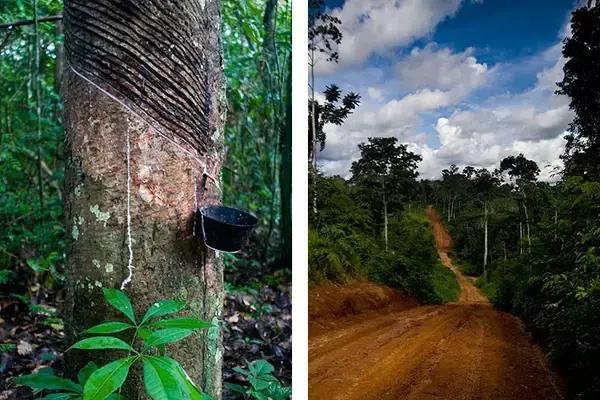 收集各种名牌鞋vansconverse,conversevans鞋子