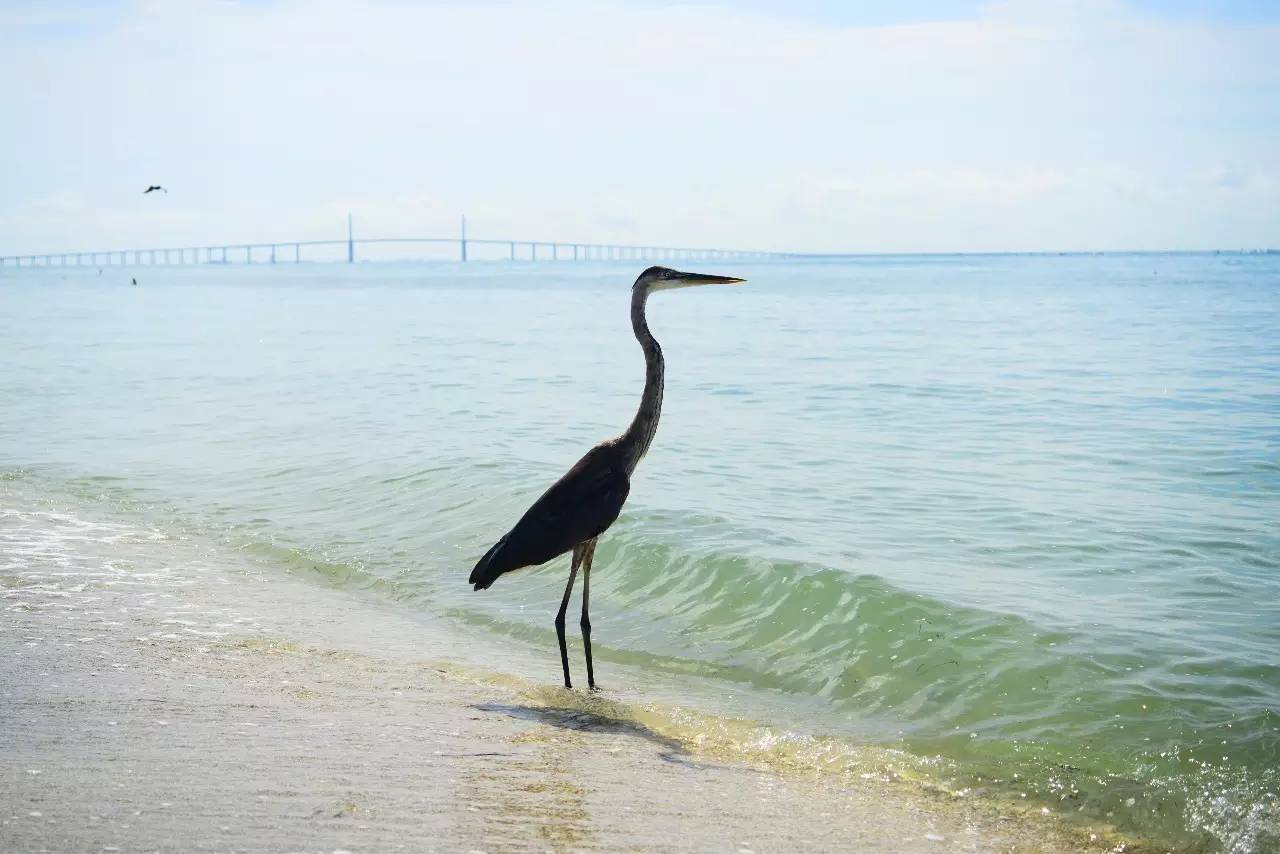 佛罗里达海滩游玩攻略,来迈阿密旅游