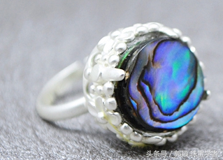 鲍鱼除了吃还代表什么,鲍鱼除了是食物还是什么东西