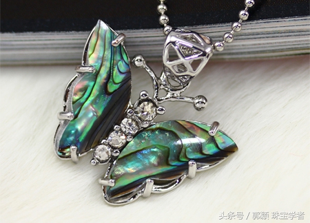 鲍鱼除了吃还代表什么,鲍鱼除了是食物还是什么东西