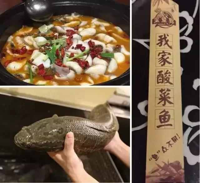 合肥哪些吃鱼不错的地方,合肥吃鱼的高档地方推荐