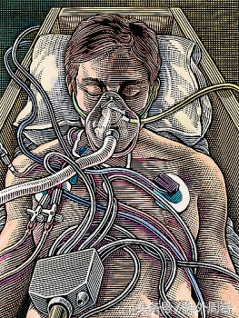 梦到植物人和正常人一样了,植物人促醒什么意思