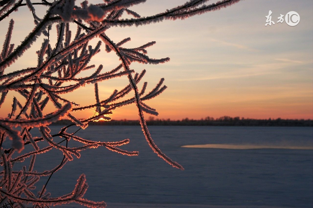 咨询心理学建立咨询关系视频,心理咨询的咨询关系