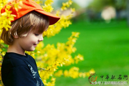 唐诗取男孩新颖有内涵的名字,唐诗起名简单大气四字女孩
