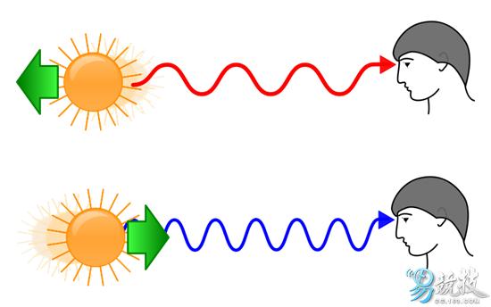 仓鼠你不知道的冷知识,长沙你不知道的冷知识