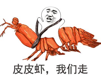 天津渤海皮皮虾,天津最好的皮皮虾