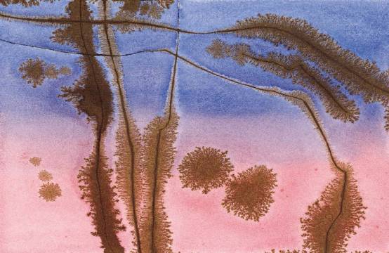 水彩画入门基础知识大全,水彩画水墨画有什么区别基础知识