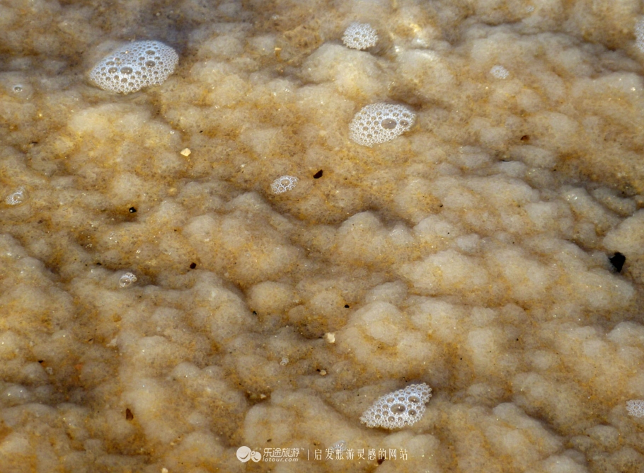 地球上的死海演变过程,地球仪上的死海在哪里