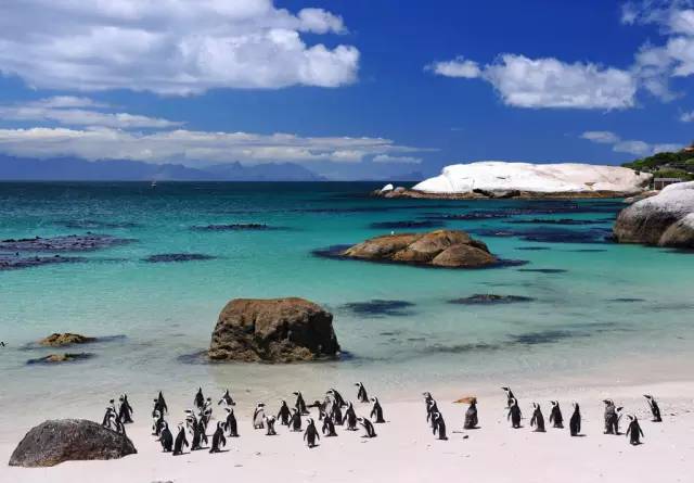 旅游攻略南非开普敦好望角之旅,南非开普敦好望角海洋分界线景观