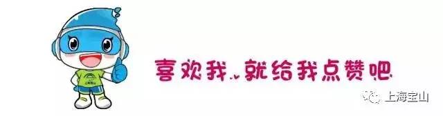 上海高铁到黄山4日游攻略,上海高铁到黄山旅行攻略