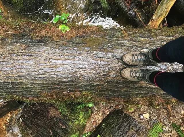 啊哈哈哈哈，为什么你朋友圈点赞人这么少？