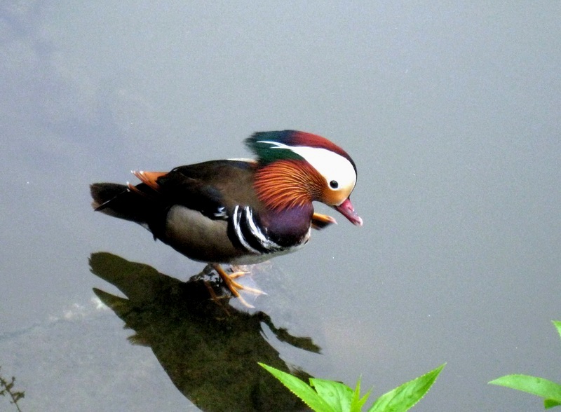 夫妻感情不和谐的三大因素是什么,朋友夫妻感情不和怎么劝