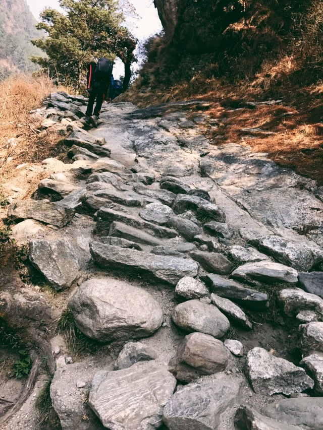 尼泊尔徒步ebc一般多大年龄,尼泊尔喜马拉雅ebc徒步大概多少钱