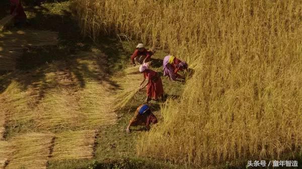 假期一定要带孩子看的5部纪录片,孩子必看的10部自然纪录片