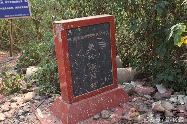 云南普洱茶名山名寨口感,老乌山普洱茶口感和哪个名山相似