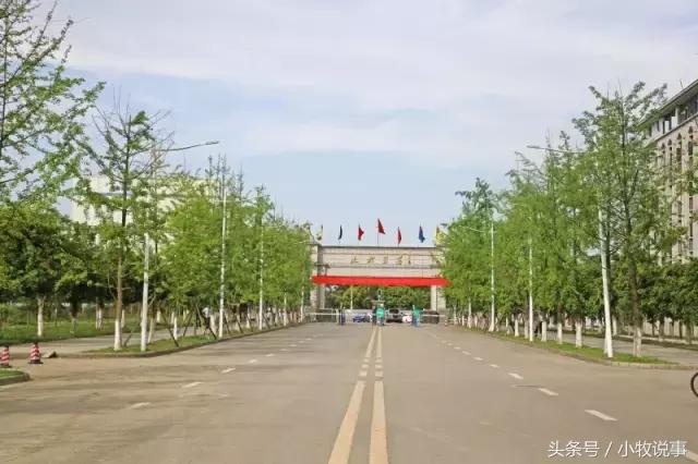 再见了四川大学,成都川大锦城学院