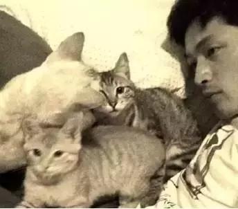 古牧真的很难养吗,古牧被遗弃了