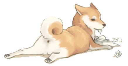 天气多变，宠物生病怎么办？