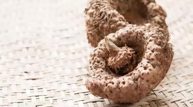 正宗的龟苓膏是什么配料,甜品店正宗龟苓膏的制作方法