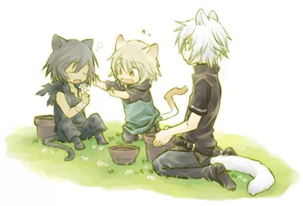 动漫当中的可怕黑猫,动漫恐怖黑猫