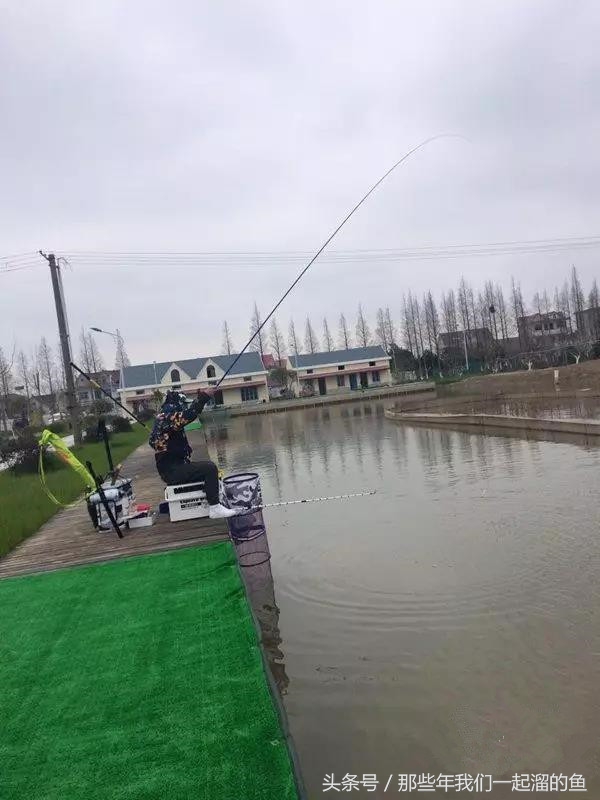 黑坑盛宴测评,化氏的黑坑盛宴鱼饵怎么样