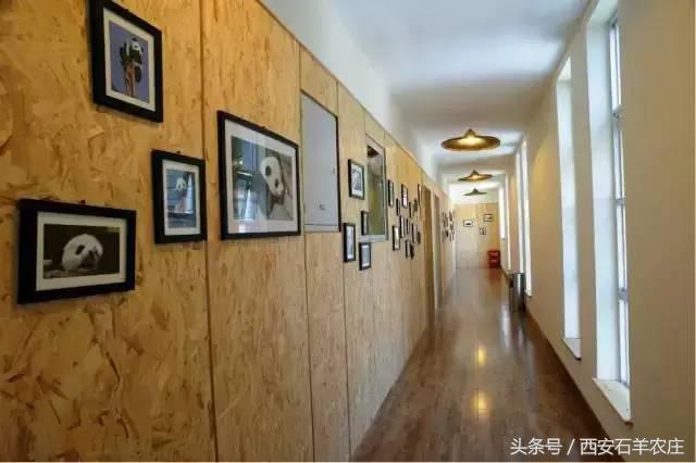 西安周边适合遛娃的度假山庄,西安周边两天一夜度假推荐