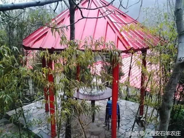 西安周边适合遛娃的度假山庄,西安周边两天一夜度假推荐