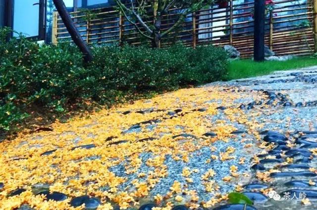 中国10大最美海边民宿,39家中国最美民宿