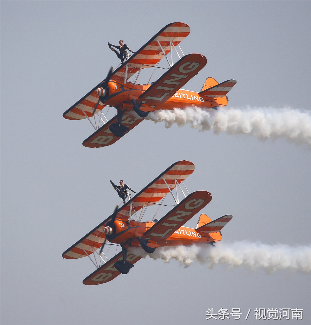 閮戝窞鑸睍,2019閮戝窞鍥介檯鑸睍