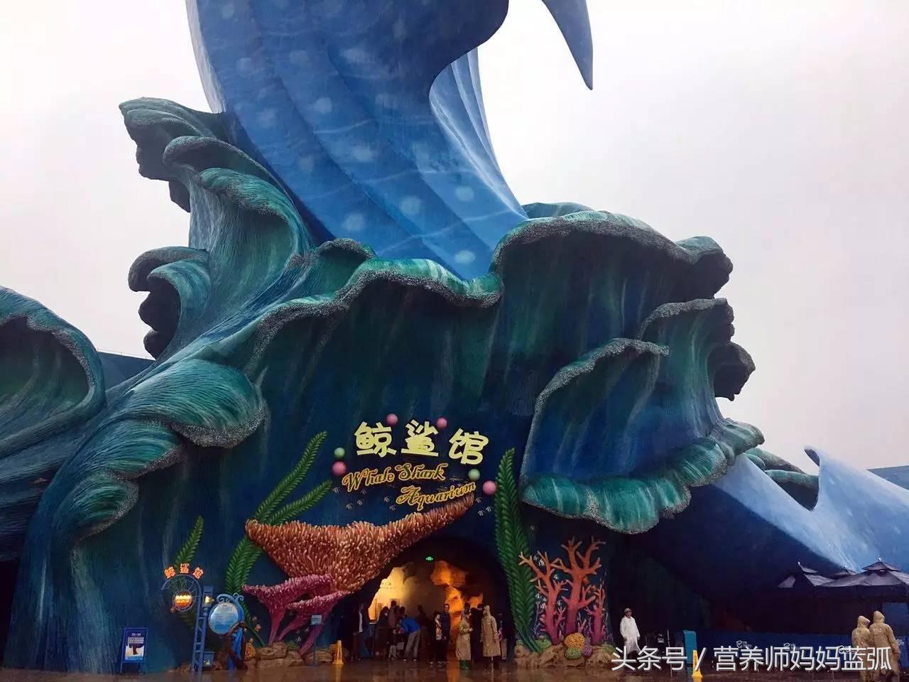 亲子游|井柏然推荐，长隆野生动物世界和海洋王国深度游记！