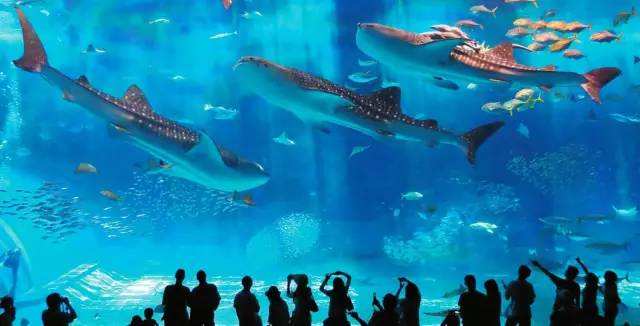 西南最大免费公园,西南片区最大公园