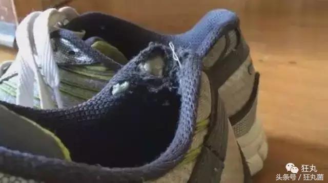 帆布鞋鞋带懒人免系鞋带慢动作,懒人不用解鞋带的鞋子