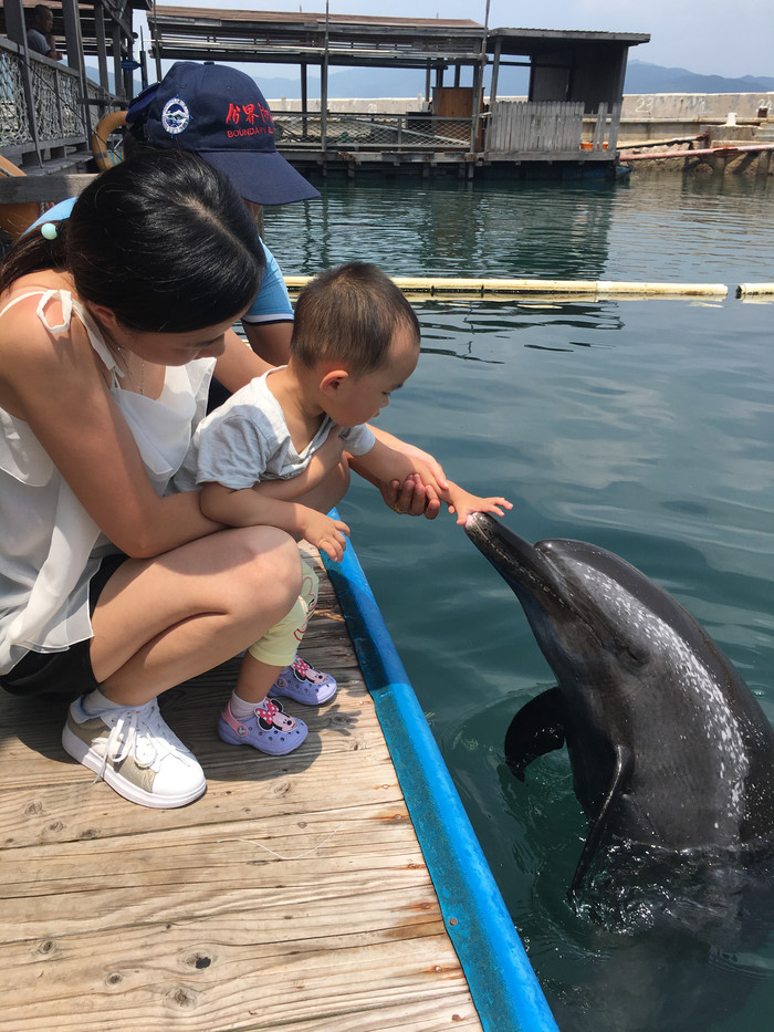 心向远方勇闯天涯,心向远方越野