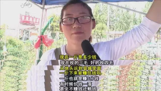 蒜薹5毛钱一斤,蒜薹三十几块钱一斤正常吗