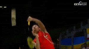 羽毛球林丹最新消息,李宗伟新消息