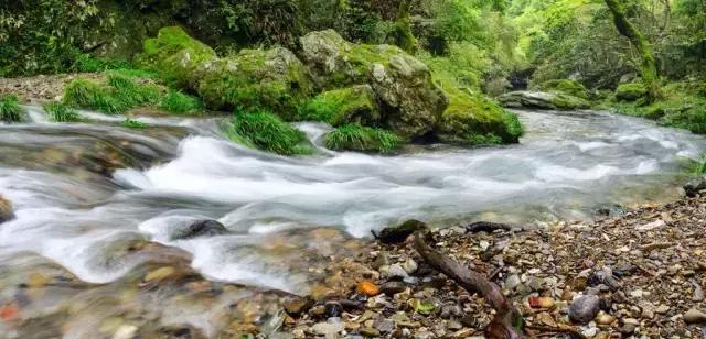 跟着小路旅游不迷路,婺源五一适合去哪里玩