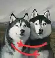 步步惊心讲了一件什么事,步步惊心片段宿舍